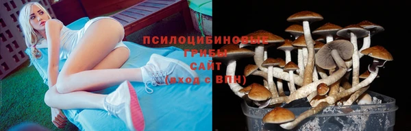 гашишное масло Михайлов