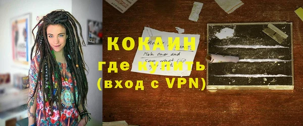 индика Михайловка