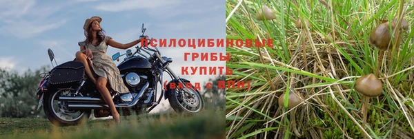МДМА Медвежьегорск