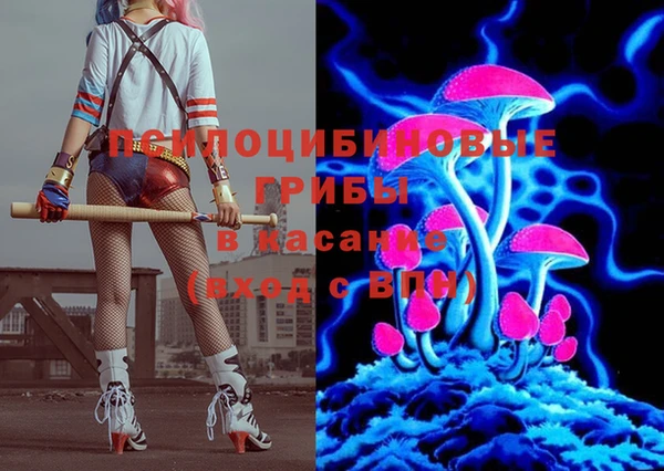 индика Михайловка