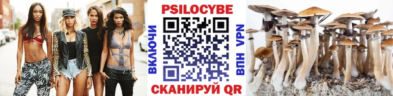как найти закладки  Краснокамск  Галлюциногенные грибы Psilocybe 