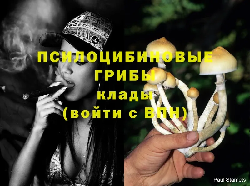 Галлюциногенные грибы Cubensis Краснокамск