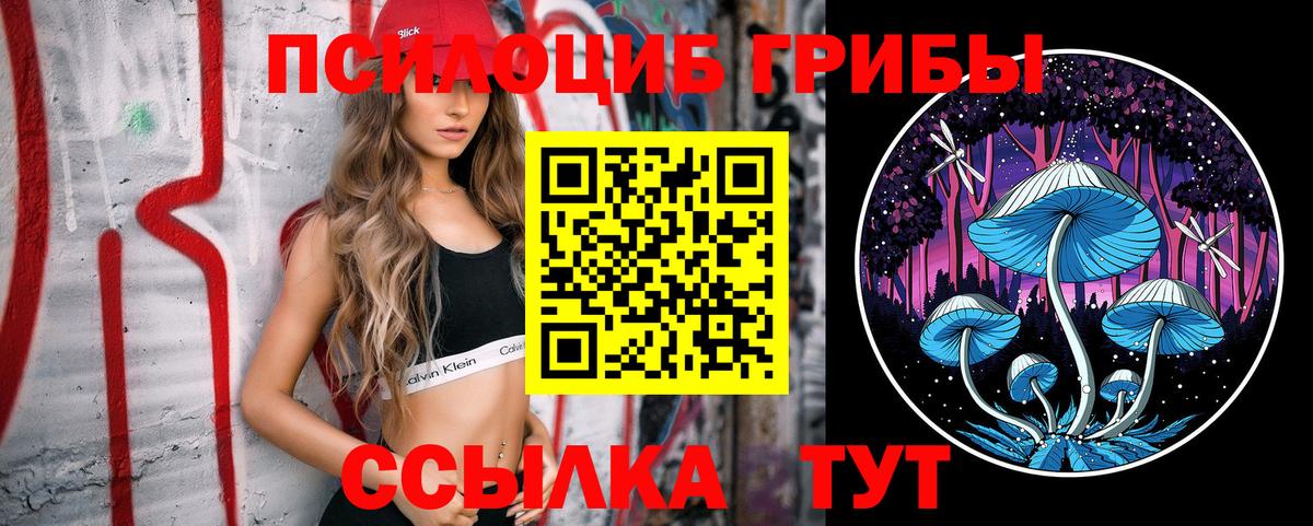 Галлюциногенные грибы Cubensis Краснокамск