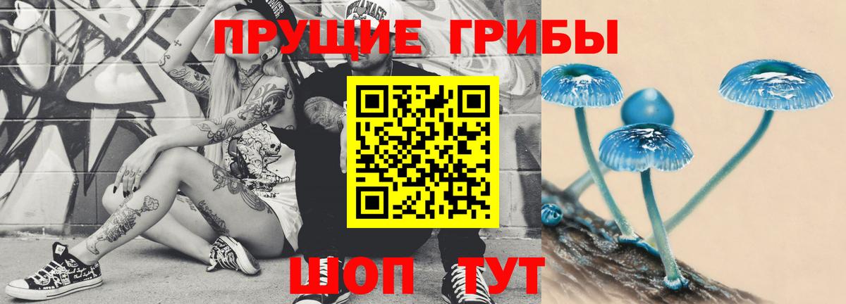 Псилоцибиновые грибы прущие грибы  Краснокамск 